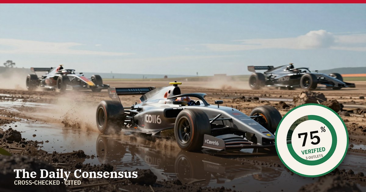 Share image: Alonso Criticizes Lack of Talent Among Back-of-the-Grid Drivers — 75% verified
