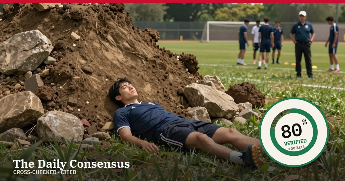 Share image: Bayern Coach Kompany Discharged After Training Ground Collapse — 80% verified