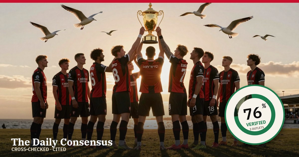 Share image: Bournemouth Triumph Over Leeds With Sixth Consecutive Clean Sheet — 76% verified