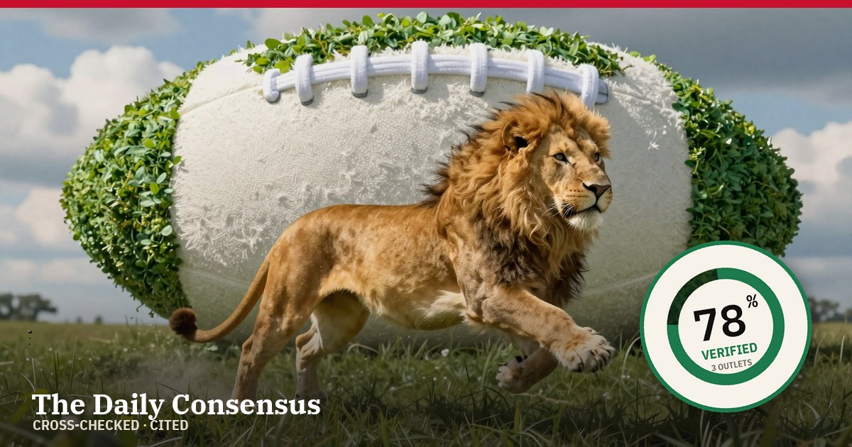 Share image: England Triumphs Over USA in Rugby Showdown — 78% verified