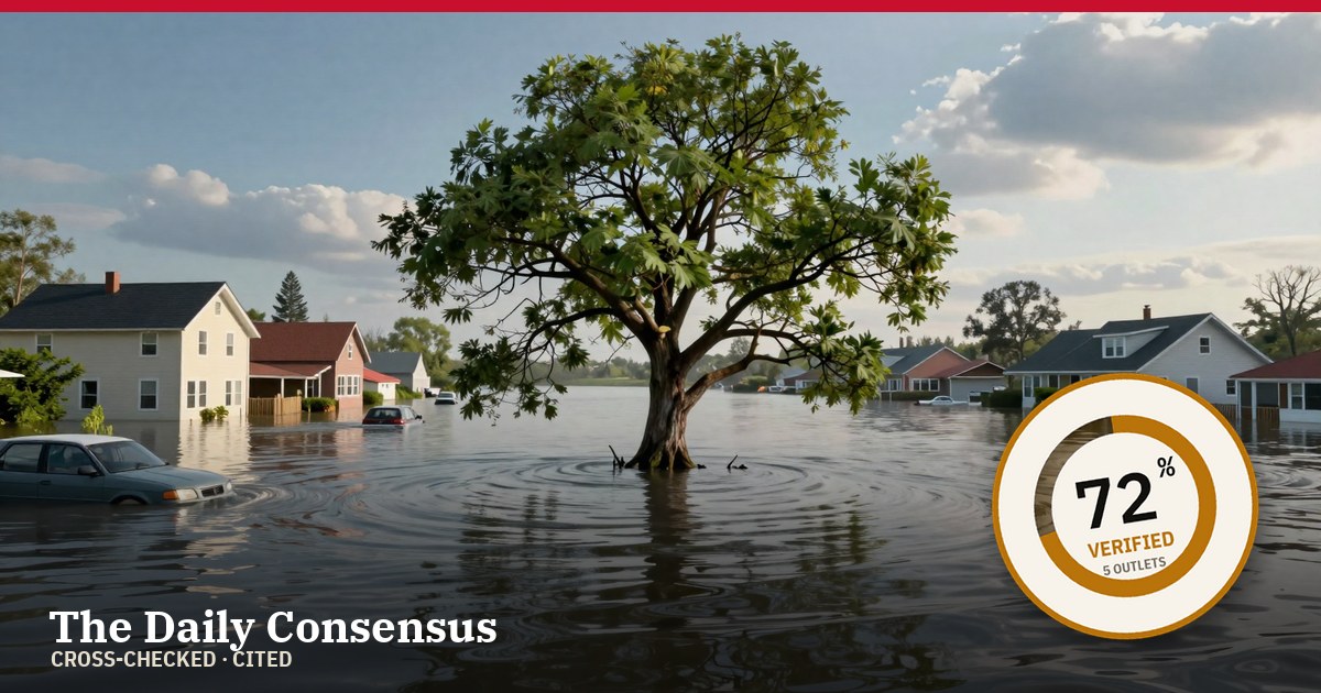 Share image: FEMA Approves Disaster Assistance for 20 Texas Counties Hit by July Flooding — 72% verified